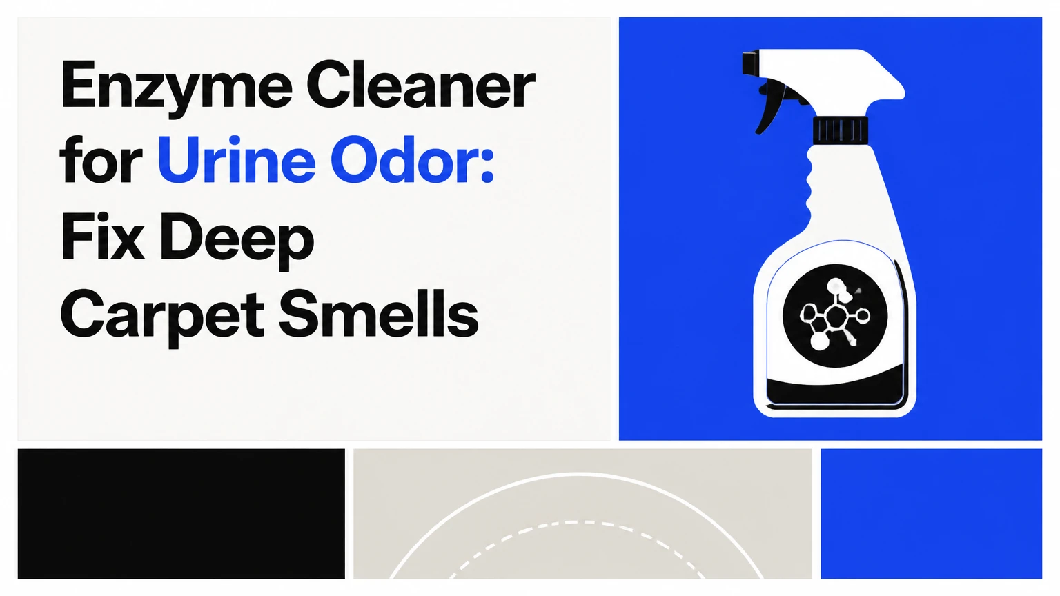 enzyme cleaner for urine odor