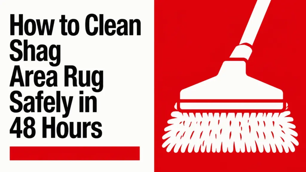 how to clean shag area rug