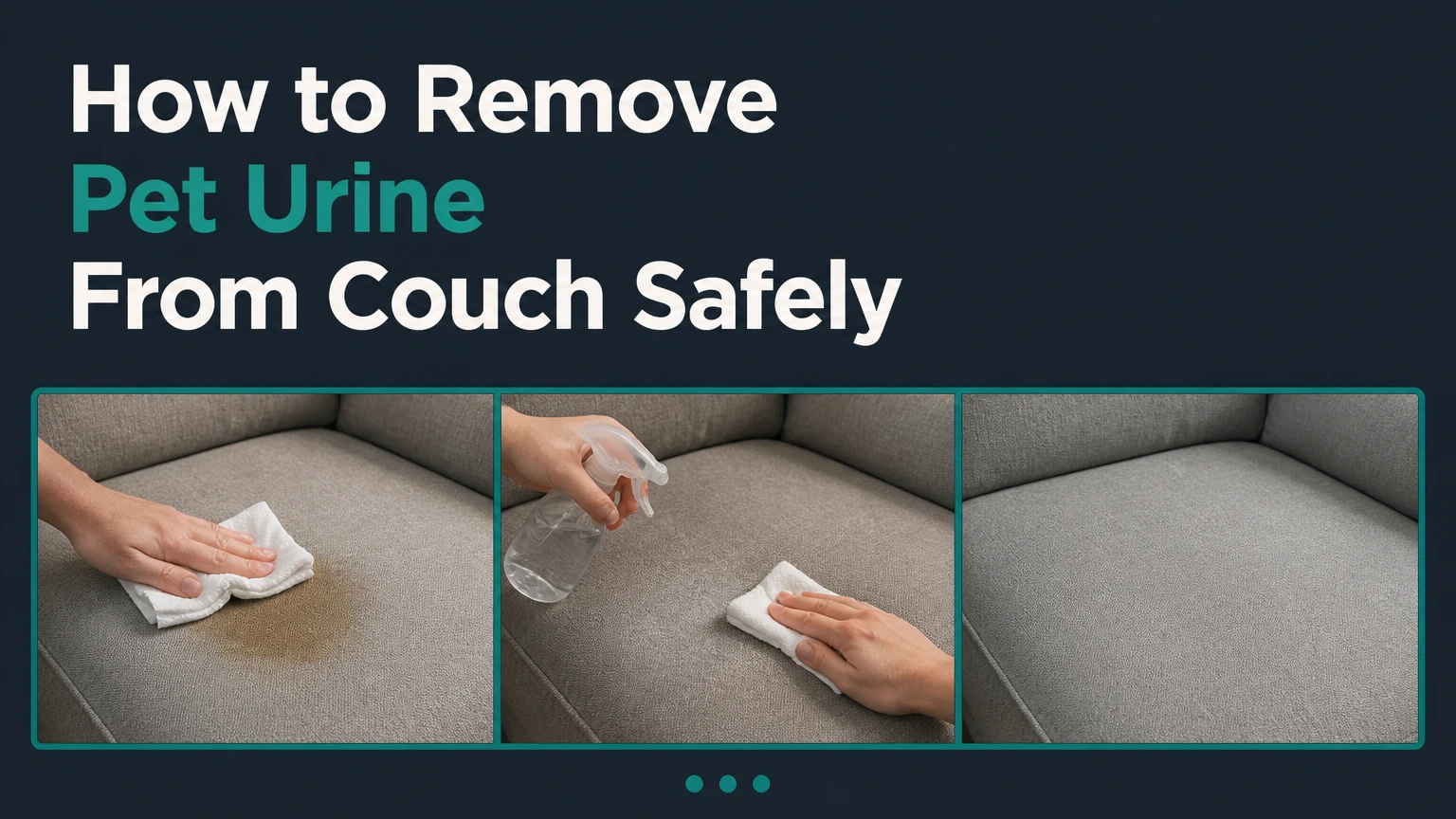 how to remove pet urine from couch
